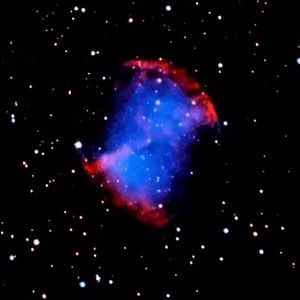 Meet your Posher, Bella